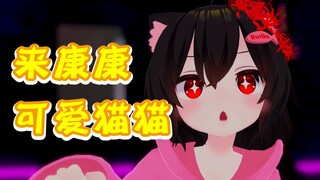 三连+关注领取你的猫猫小可爱