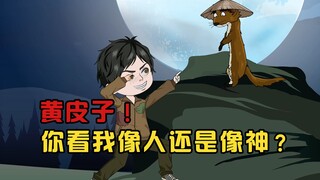 你看我像人还是像神！黄皮子：我看你像个傻子！