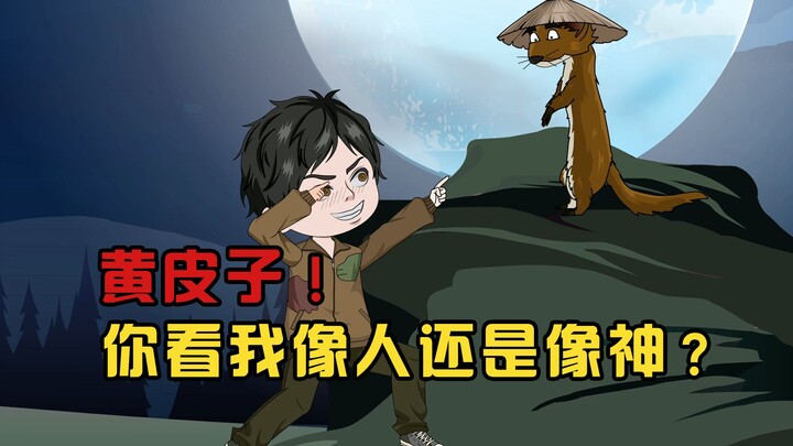 你看我像人还是像神！黄皮子：我看你像个傻子！