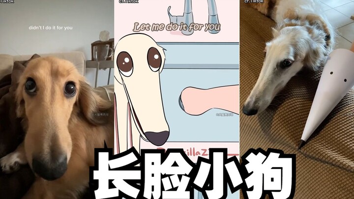 Anjing: Biar aku yang bantu kamu~