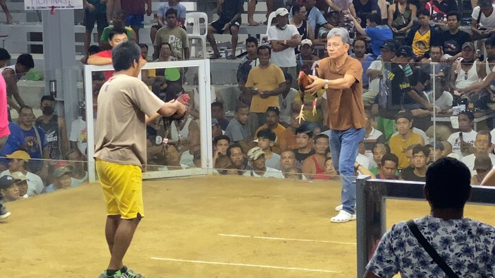na ngayaw ang kalaban, 3 stag elim. ( wins 2 fight )