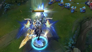 The feel surpasses that of the Dominator champion skin