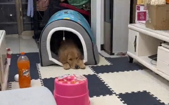 Why’d you have to go all out like this?