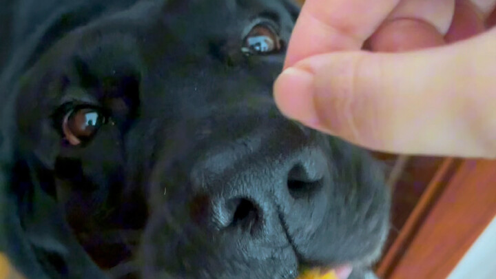 عائلة فقيرة لا تسمح بالتبذير، وجيري هو رسول الأقراص المضغوطة في عائلتي!