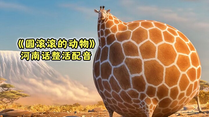 Những động vật Hà Nam tròn vo
