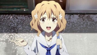 AMV Purity