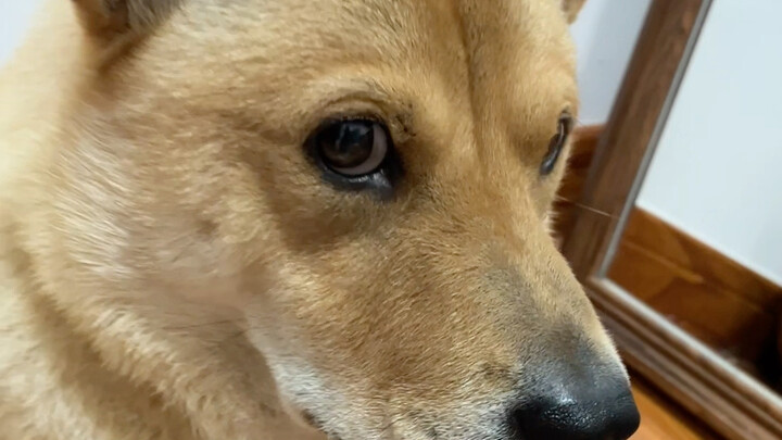 Your July salary has been paid; please check.