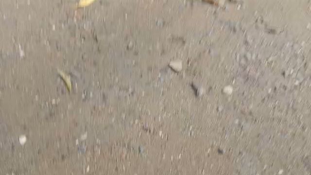 (Win) Bolik kala ko matatalo pa hahaha