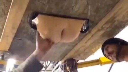 I thought it was a butt.