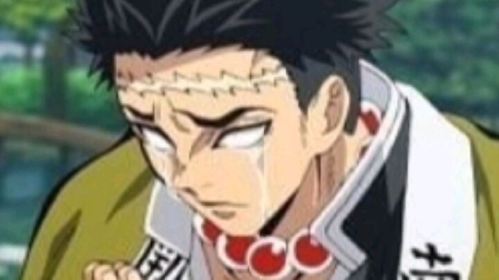 Demon Slayer (the hashira and includes the greatest ones namely tanjiro nezuko zenitsu and inosuke)