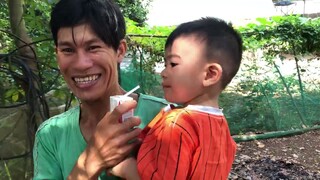 [live] Sơn Hà gặp lại Ngoại và cậu Phong - Nam Việt 2356