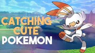 CATCHING CUTE POKEMON! - Pokemon Sword and Shield | Episode 1