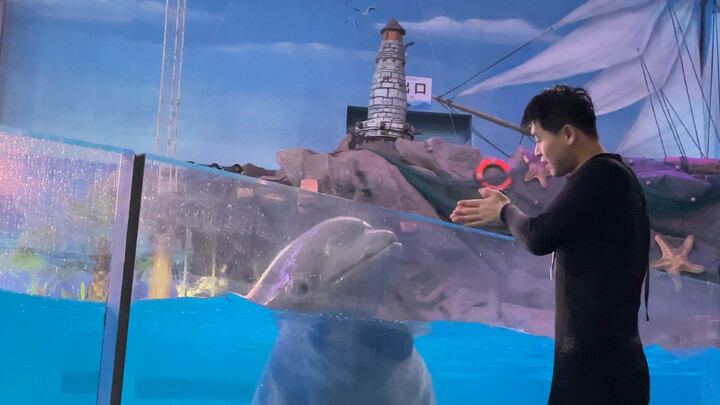 Tarianku ini benar-benar nggak ada lawannya!