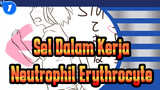 [Sel Dalam Kerja!/Animasi] Neutrophil&Erythrocyte_1