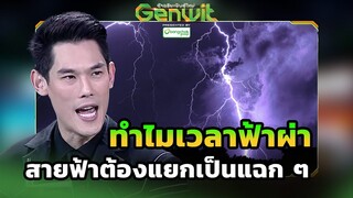 ทำไมเวลาฟ้าผ่า สายฟ้าต้องแยกเป็นแฉก ๆ   | Genwit อัจฉริยะพันธุ์ใหม่