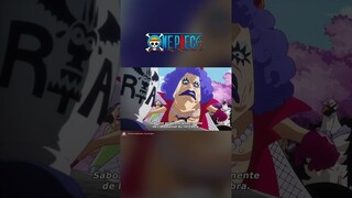 En route pour EggHead ! #shorts #onepiece #anime #japan #animation #adn #vostfr #preview #vegapunk