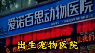 宠物医院那些无良的操作！