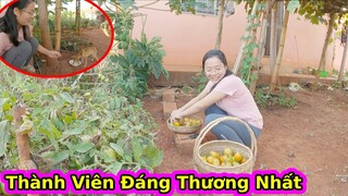 2Q Có thêm thành viên mới ở Châu Phi||2Q Vlogs Cuộc Sống Châu Phi