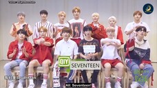 SEVENTEEN 'IQIYI' INTERVIEW