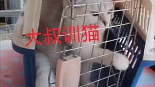 Uncle training cat