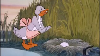 Tom and jerry - little quacker