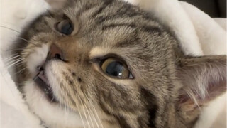 Satu sisi berbaring dengan nyaman, sisi lainnya sibuk menggerutu dan mencaci-maki.