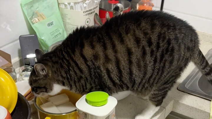 A mischievous rat sneaks out at midnight to steal New Year’s rice cakes!