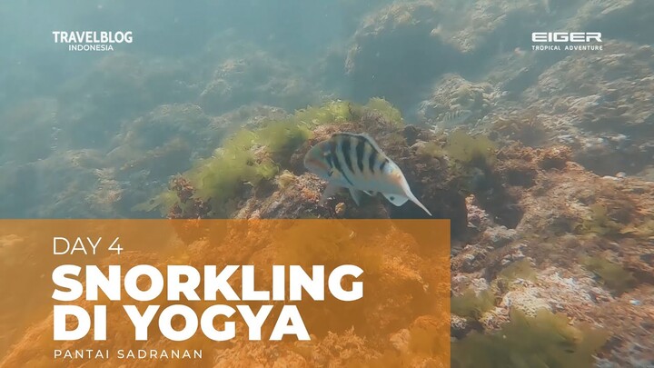 Snorkeling Pemula di Pantai Sadranan Yogyakarta