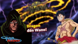 Monkey D. Dragon đang đợi Luffy trưởng thành? Cha con Luffy đoàn tụ ở Wano?