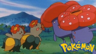 Pokémon Tập 241: Kireihana Và Rafflesia! Hòa Bình Ở Thảo Nguyên! (Lồng Tiếng)