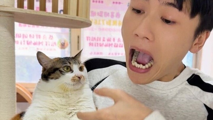 Về khoản diễn xuất, con mèo nhà tôi chẳng có đối thủ.