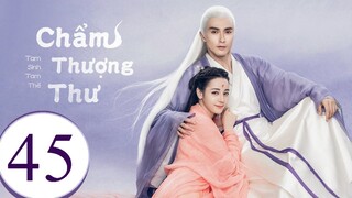 Tam Sinh Tam Thế Chẩm Thượng Thư - Tập 45 | Lồng Tiếng