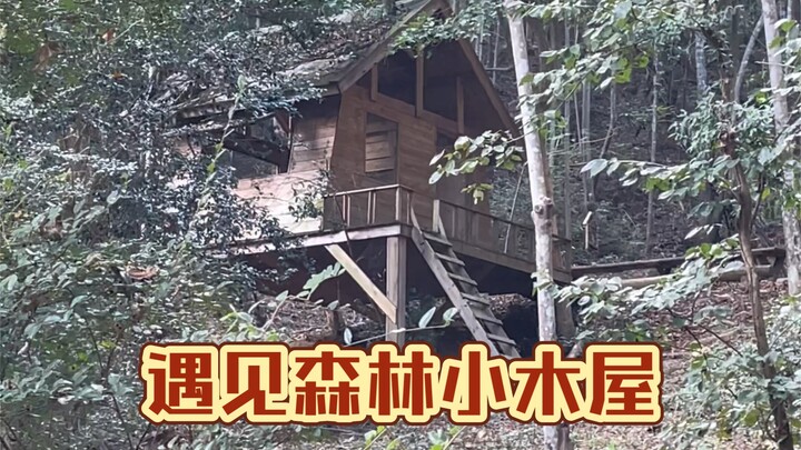 นี่เป็นบ้านที่เพื่อนเก่งๆ ของฉันสร้างให้ลูกสาวเธอค่ะ/ครับ