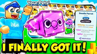 I Got The DARK MATTER SECRET DOODLE PET In Pet Simulator X!