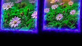 পরিবার থেকে যখন ভালোবাসা মেনে নেয় তখনই ভালোবাসা সুন্দর হয় ❤❤