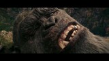 📽 Movie: Godzilla × Kong : The New Empire (2024)📌 Genre: Adventure | Sci-Fi📌 IMDB Rating: 6.5/10