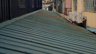 #CreatotBoost Roof cat