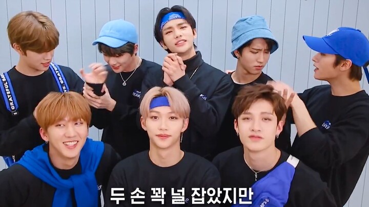 【SKZ中首48字幕组】[Stray Kids] 风（Levanter）应援音译