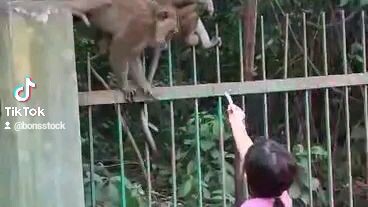 Lasang Secret Adventer#napadaanlangpo#mongky_d_luffy🐒