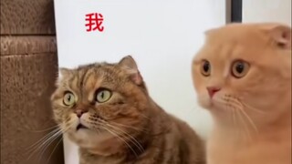 When the leader wants to shake your hand