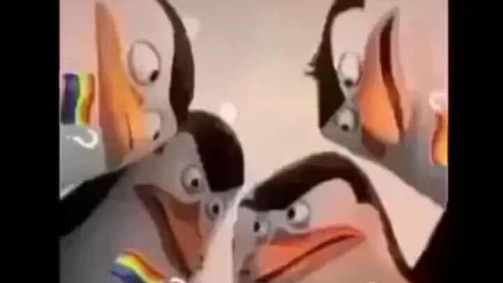 gay?