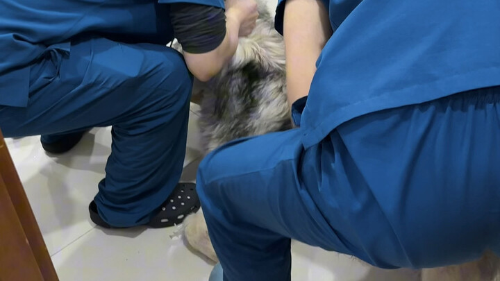 Alaska has been hospitalized for a week already. This little guy, who was previously completely over