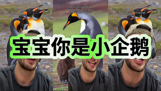 香蒜酱，你是个小宝宝～🥹