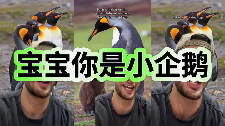 صلصة الثوم والزعتر، أنت طفل صغير～🥹