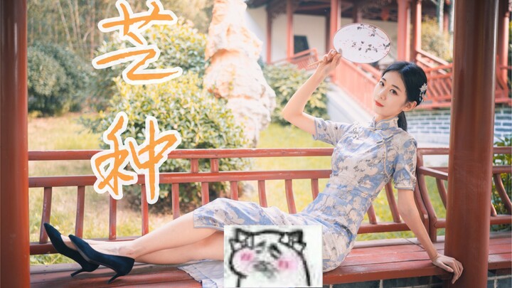 【Gua Zi】❀Grain in Ear❀Can I still catch this last bus?