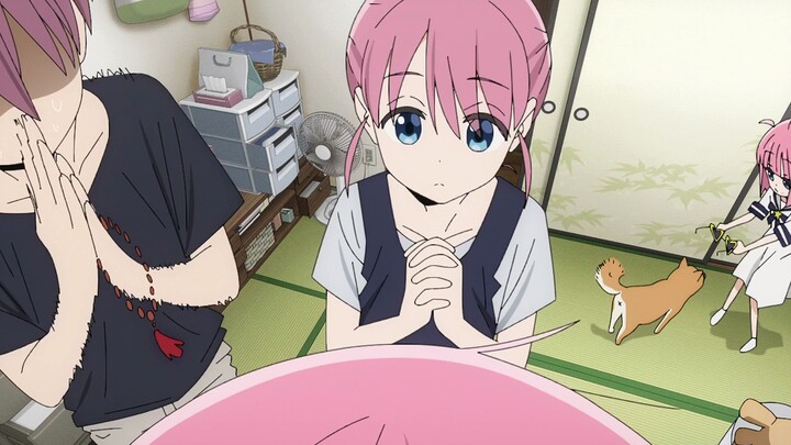 Pochi-chan's lonely life
