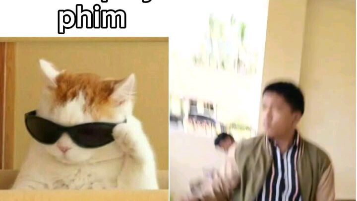 bgfu