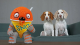Dogs vs การเล่นตลก Sno Cone ที่น่ารำคาญ สุนัขตลก Maymo & Potpie ได้รับการเล่นตลก!