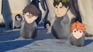 Penguin Boy【2】พระอาทิตย์ดวงน้อยที่หาเพื่อนไม่เจอ