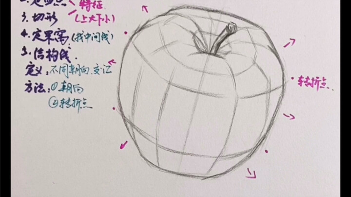 【ภาพสเก็ตซ์หุ่นนิ่ง】ความเข้าใจเกี่ยวกับเส้นโครงสร้าง